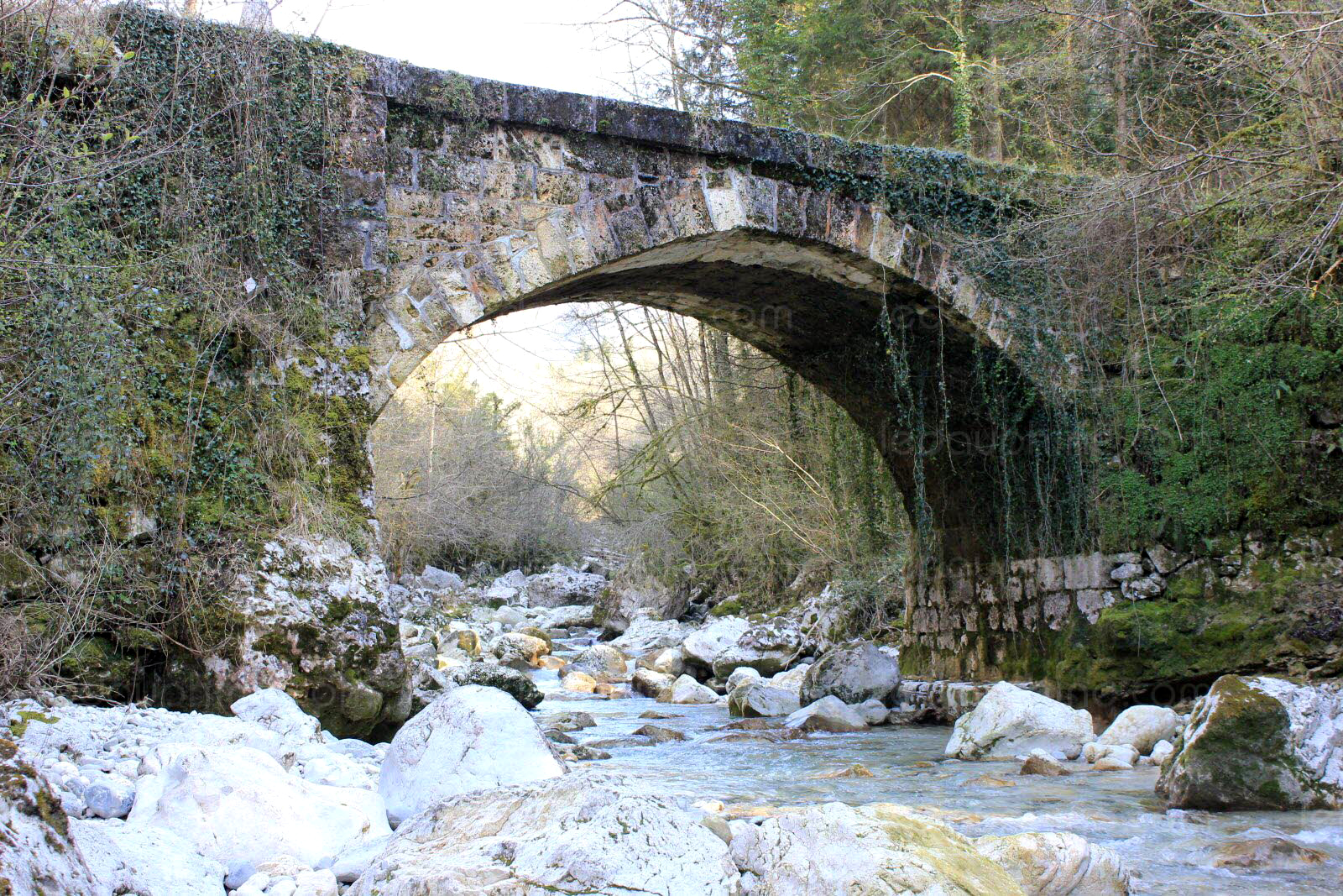 Pont des Chartreux